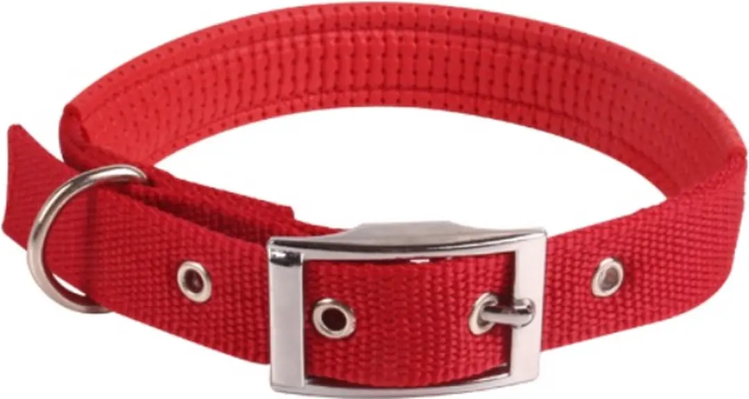 Nobleza Hondenhalsband