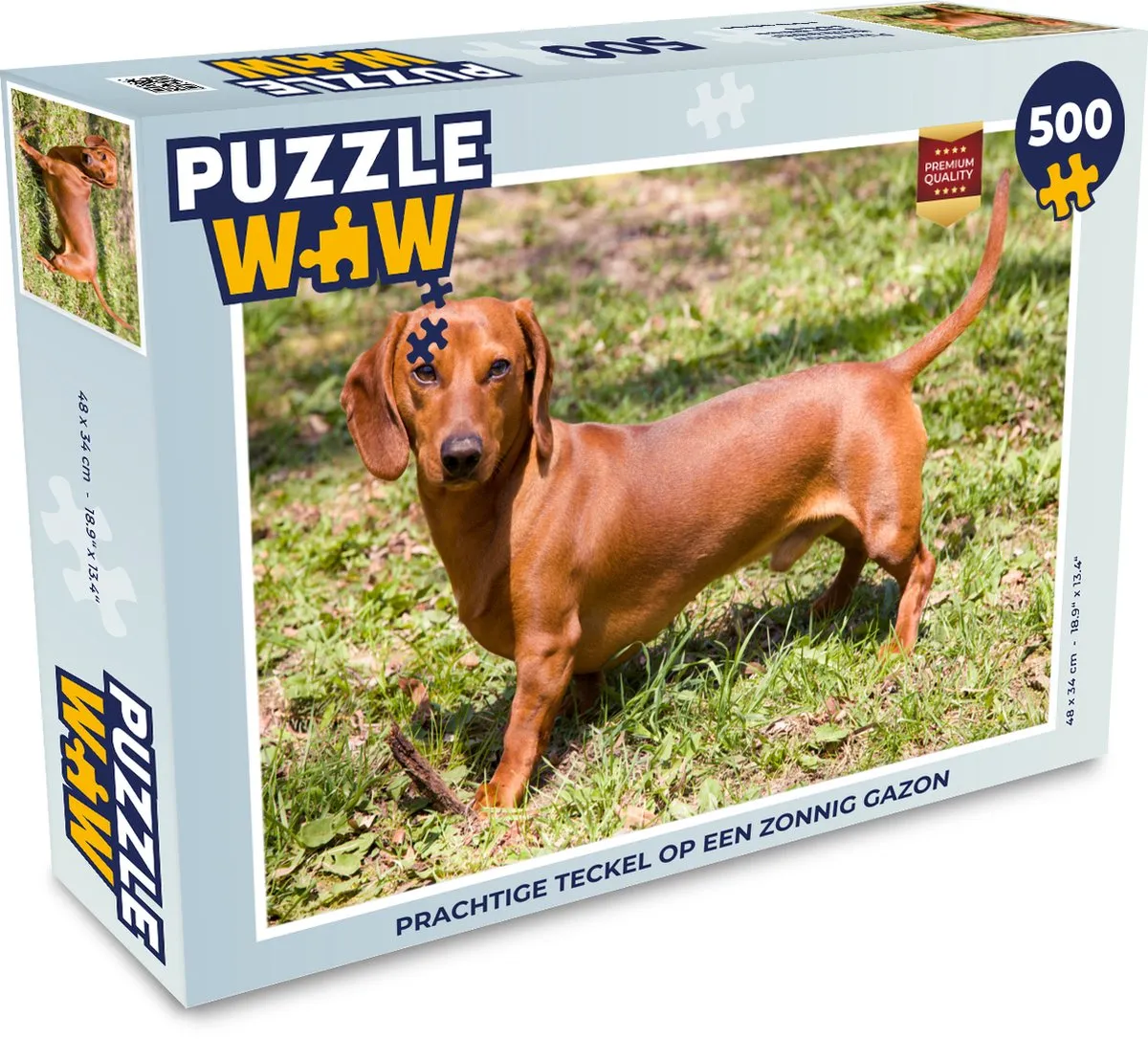 PuzzleWow Legpuzzel Teckel op zonnig gazon 500 Stuks