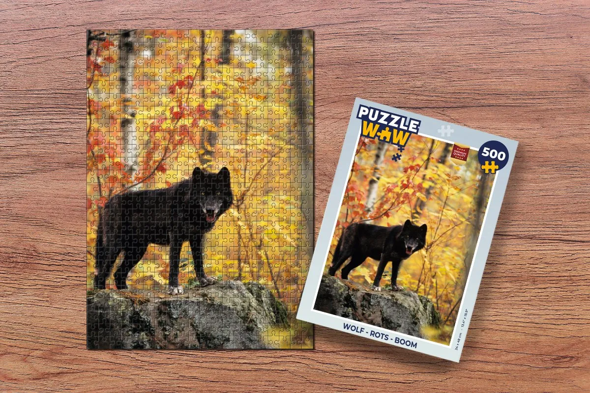 PuzzleWow Legpuzzel 500 Stuks - Multicolor