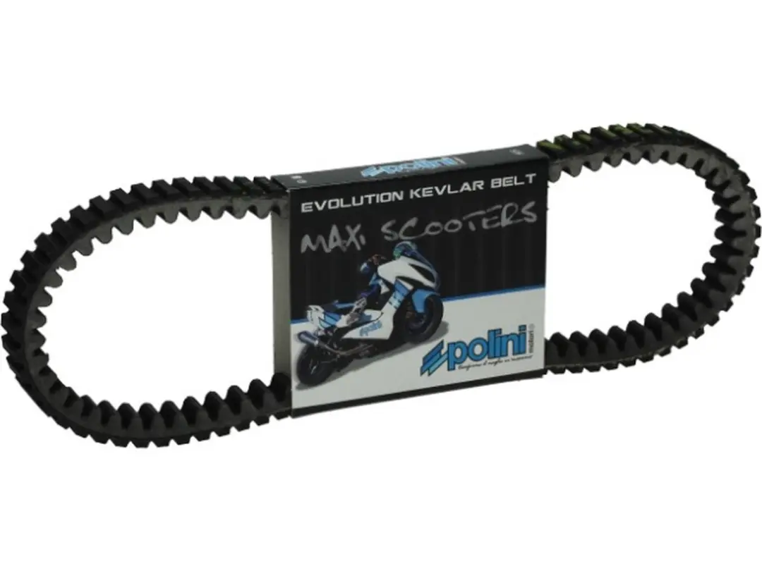 Courroie de transmission Polini pour Scooter Malaguti 200 Madison 248.052 Neuf