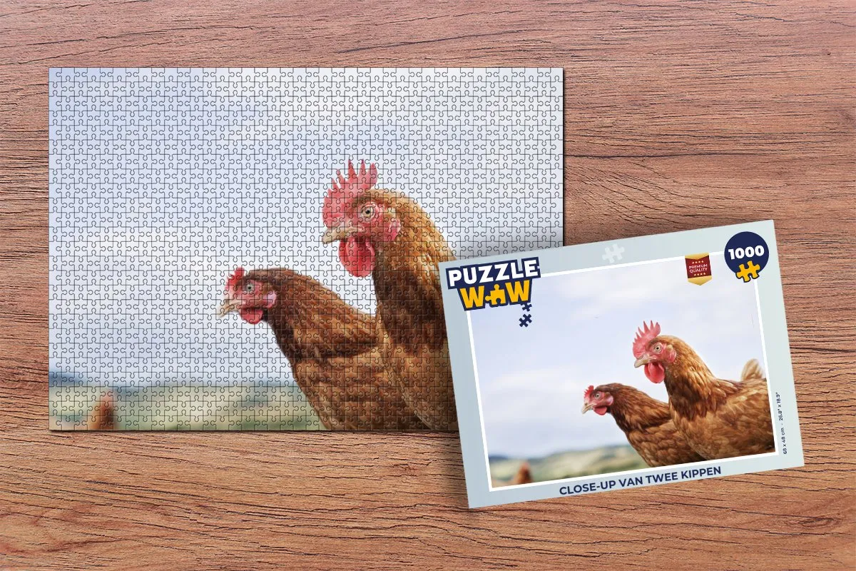 PuzzleWow Legpuzzel 1000 Stuks - Multicolor