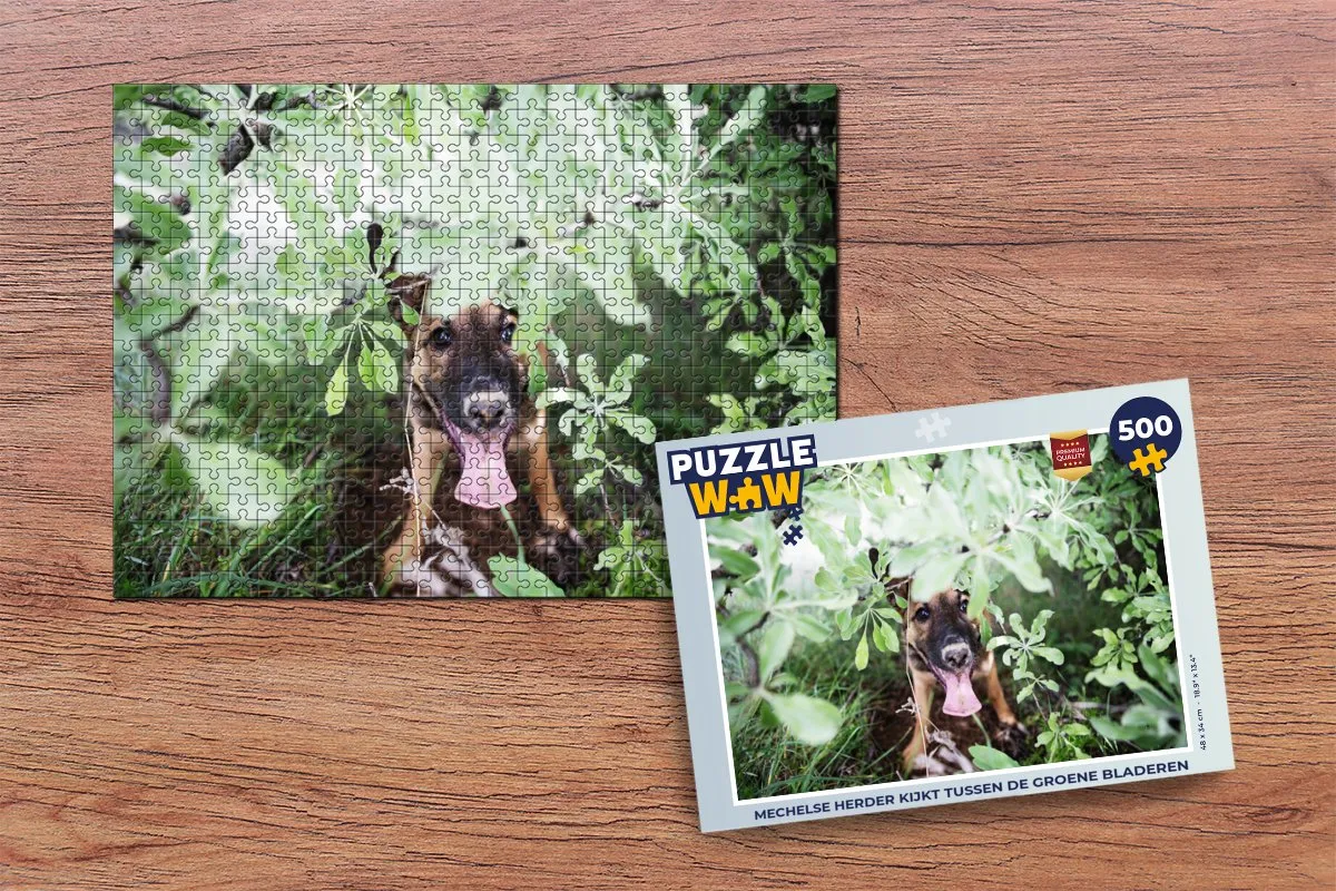 PuzzleWow Legpuzzel Mechelse Herder 500 Stuks - Multicolor