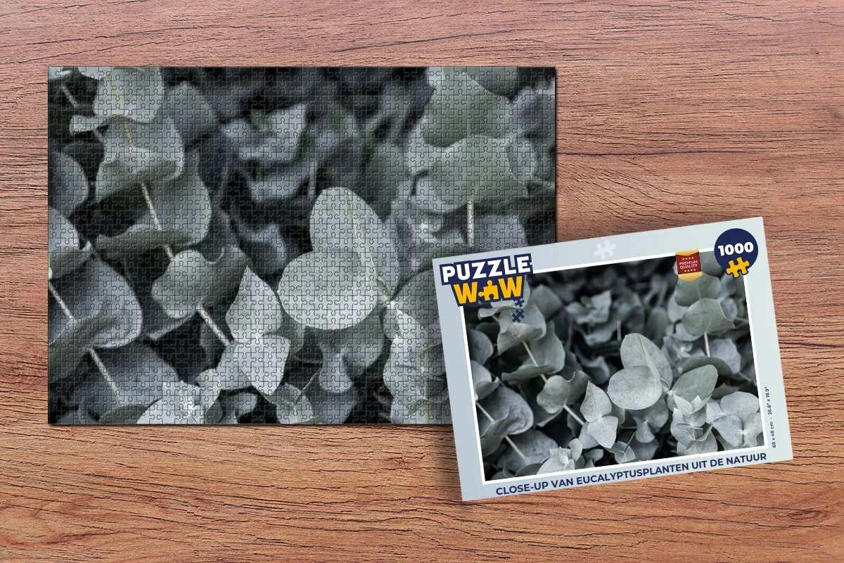 PuzzleWow Natuur Planten Eucalyptus Legpuzzel 1000 Stuks - Multicolor