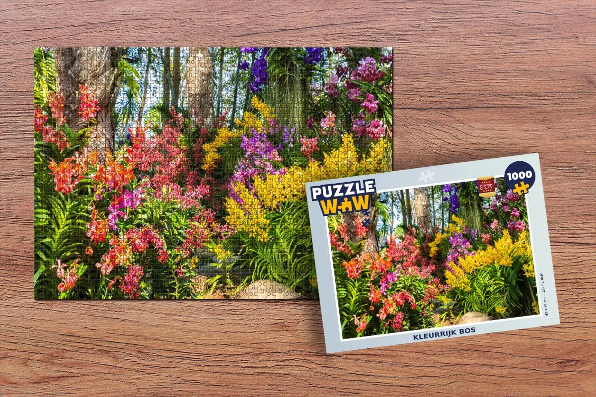 PuzzleWow Regenboog Bos Seizoenen Legpuzzel 1000 Stuks - Multicolor