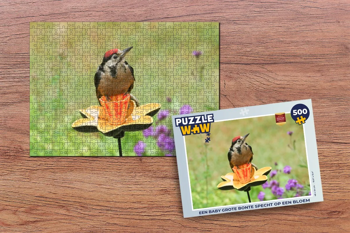 PuzzleWow Legpuzzel Een Baby Grote Bonte Specht - 500 Stuks - Multicolor