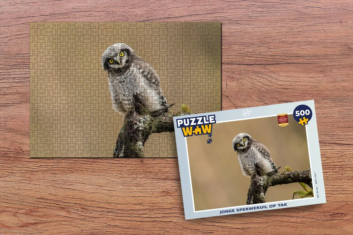PuzzleWow Sperweruil Legpuzzel 500 Stuks - Multicolor