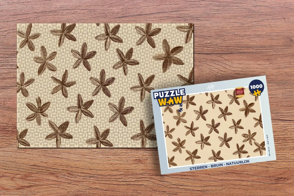 PuzzleWow Sterren Legpuzzel 1000 Stuks - Multicolor