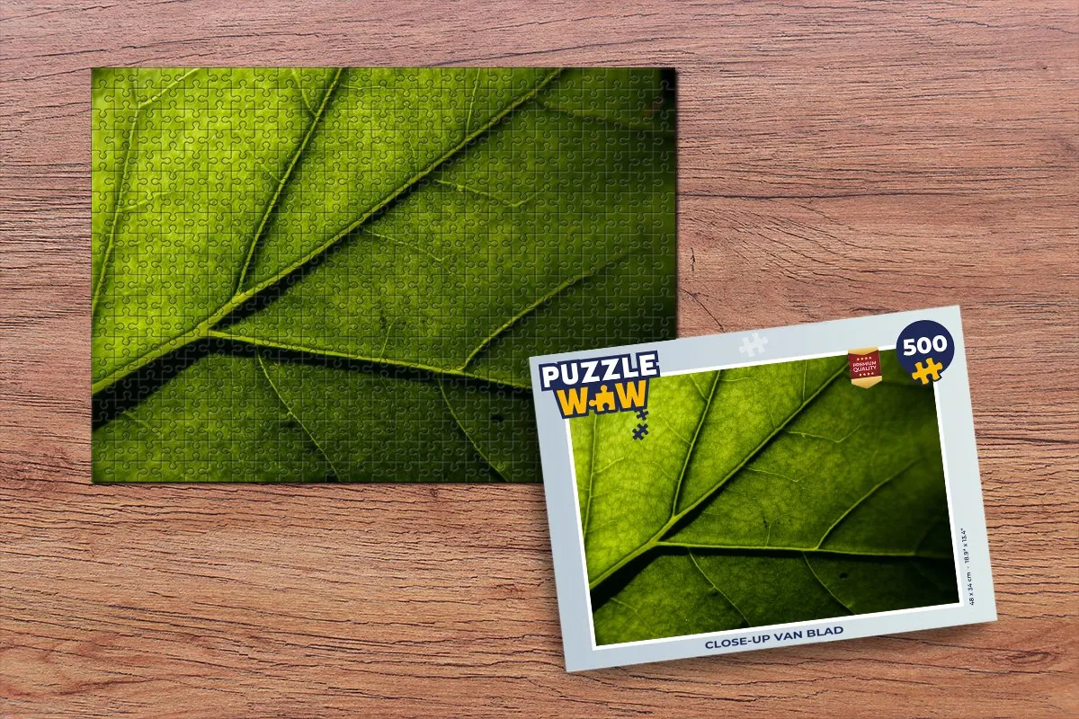 PuzzleWow Close-up van blad Legpuzzel 500 Stuks - Multicolor