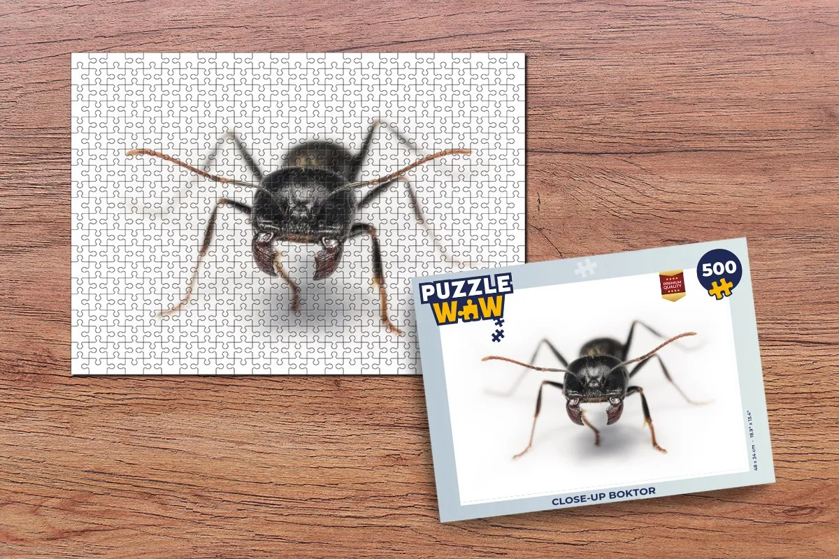 PuzzleWow Close-up Boktor Legpuzzel 500 Stuks - Multicolor