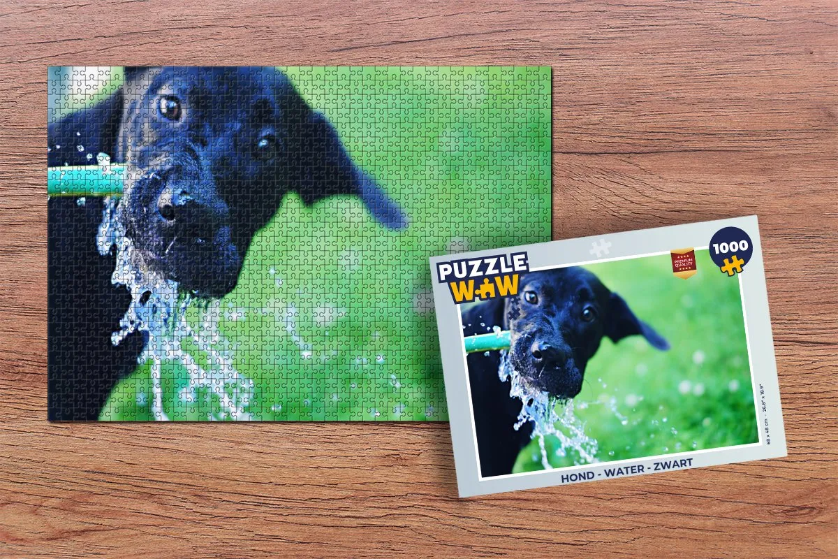 PuzzleWow Hond Water Legpuzzel 1000 Stuks - Multicolor