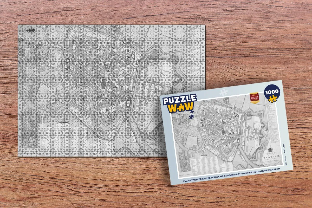 PuzzleWow Haarlem Antiek Legpuzzel 1000 Stuks - Multicolor