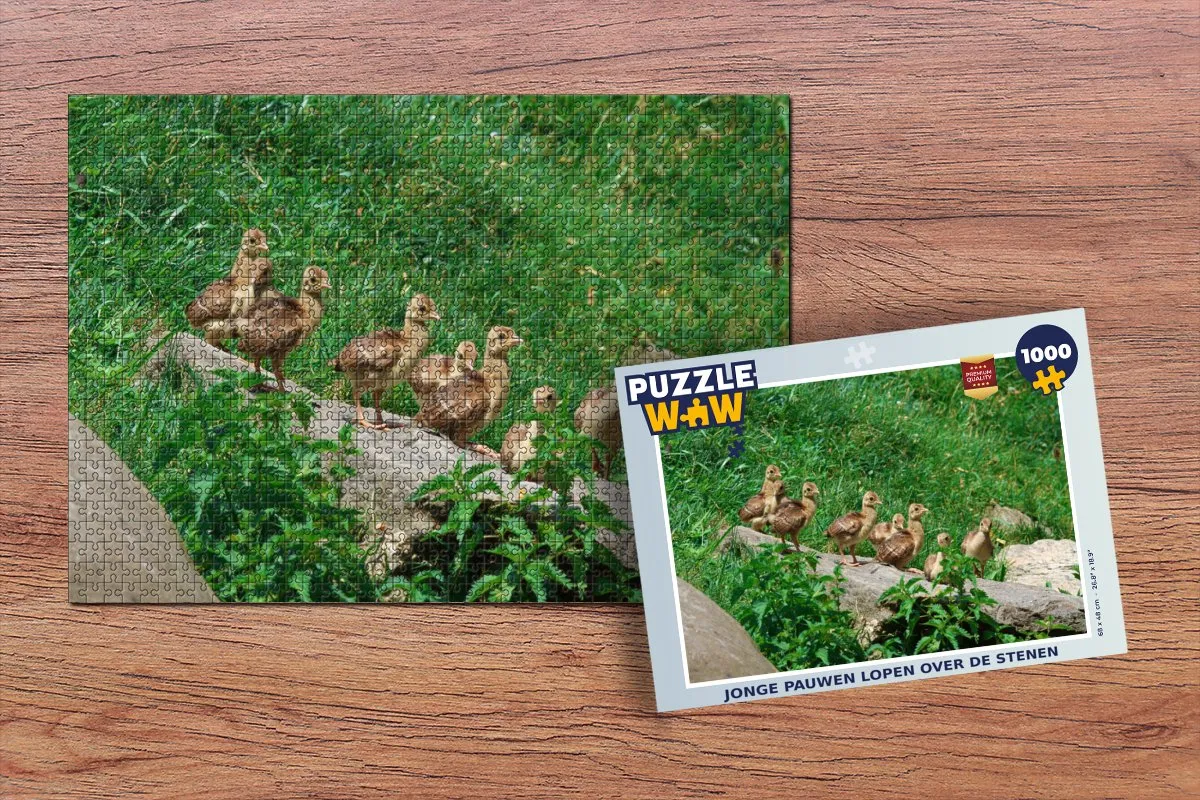 PuzzleWow Vogels Gras Legpuzzel 1000 Stuks - Multicolor