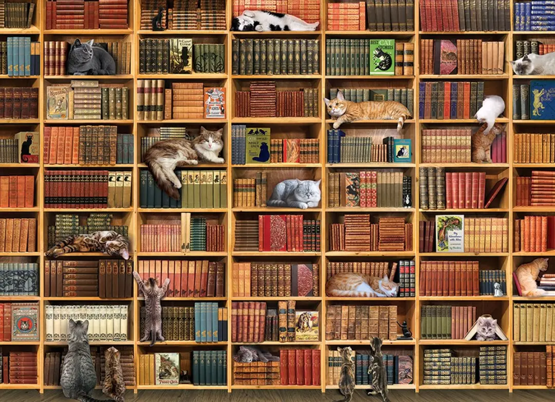 Cobble Hill Kattenbibliotheek Puzzel 1000 Stukjes - Meerkleurig