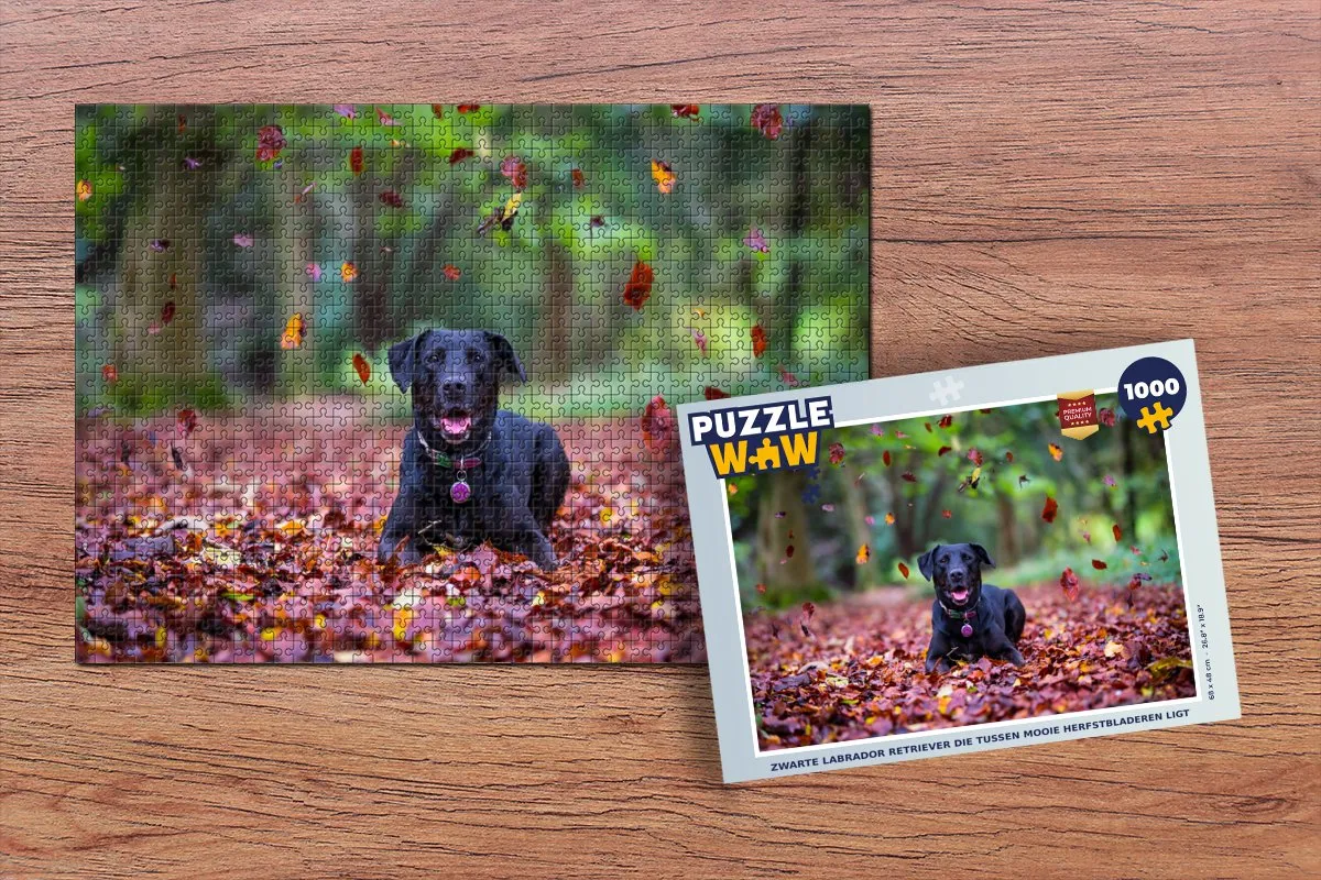 PuzzleWow Legpuzzel 1000 Stuks