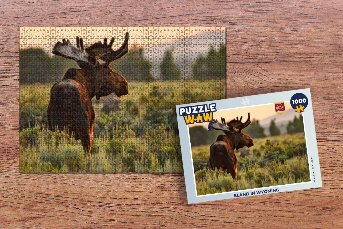 PuzzleWow Wyoming Legpuzzel 1000 Stuks - Multicolor