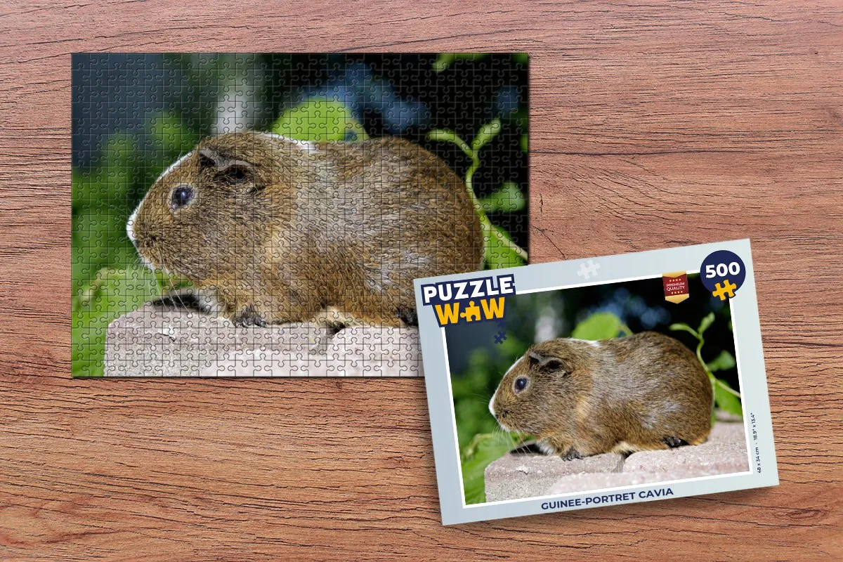 PuzzleWow Legpuzzel Guinee-portret cavia 500 Stuks - Multicolor