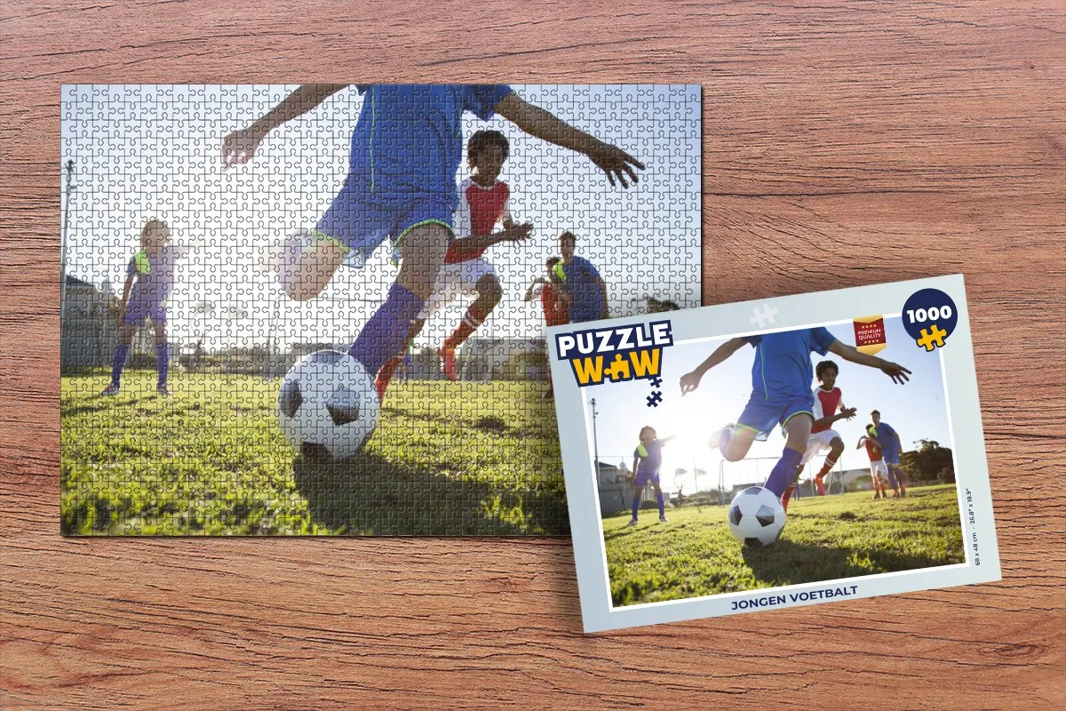 PuzzleWow Legpuzzel 1000 Stuks Multicolor