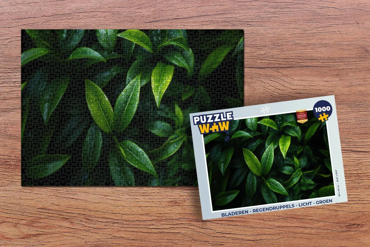 PuzzleWow Legpuzzel 1000 Stuks - Bladeren Regendruppels Groen
