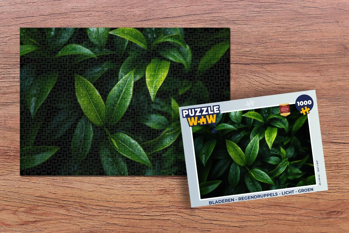 PuzzleWow Legpuzzel 1000 Stuks - Bladeren Regendruppels Groen