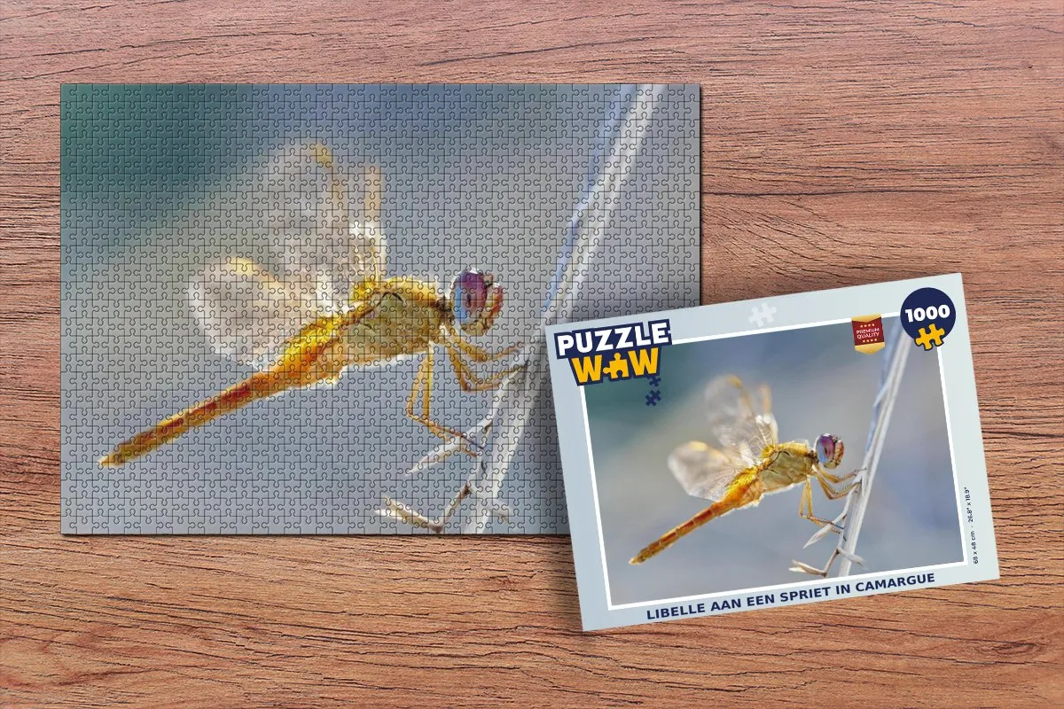 PuzzleWow Legpuzzel Libelle aan een spriet in Camargue 1000 Stuks - Multicolor