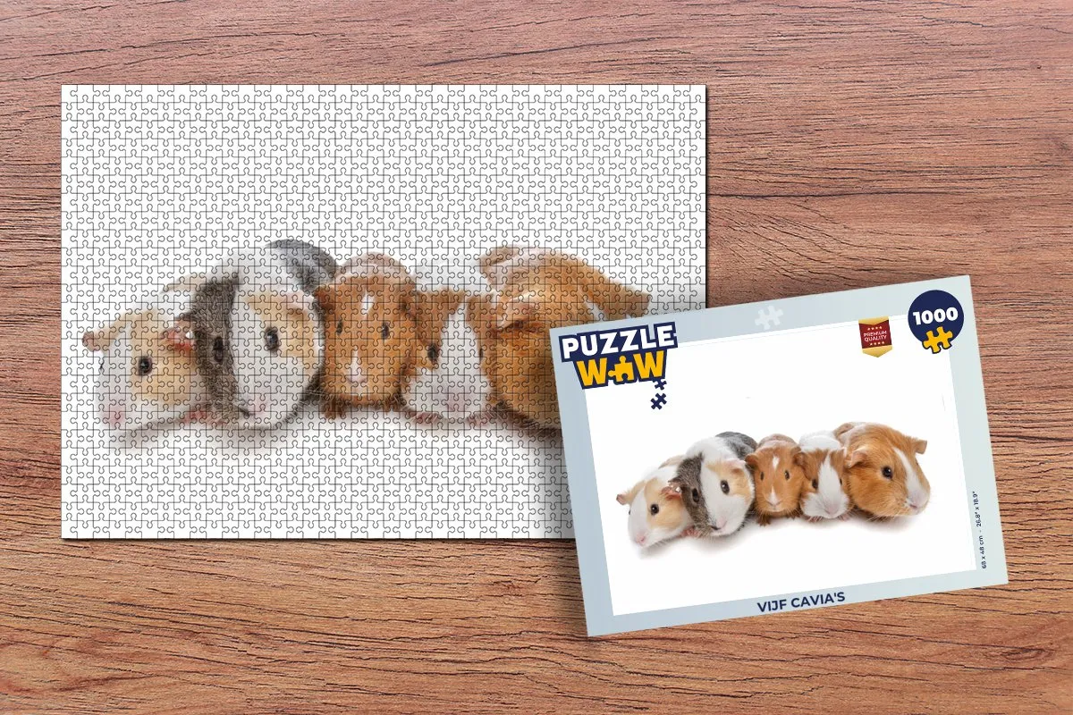 PuzzleWow Legpuzzel Vijf cavia's 1000 Stuks - Multicolor