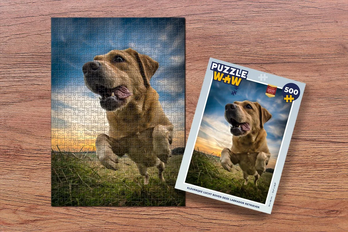 PuzzleWow Legpuzzel Kleurrijke lucht Labrador 500 Stuks - Multicolor