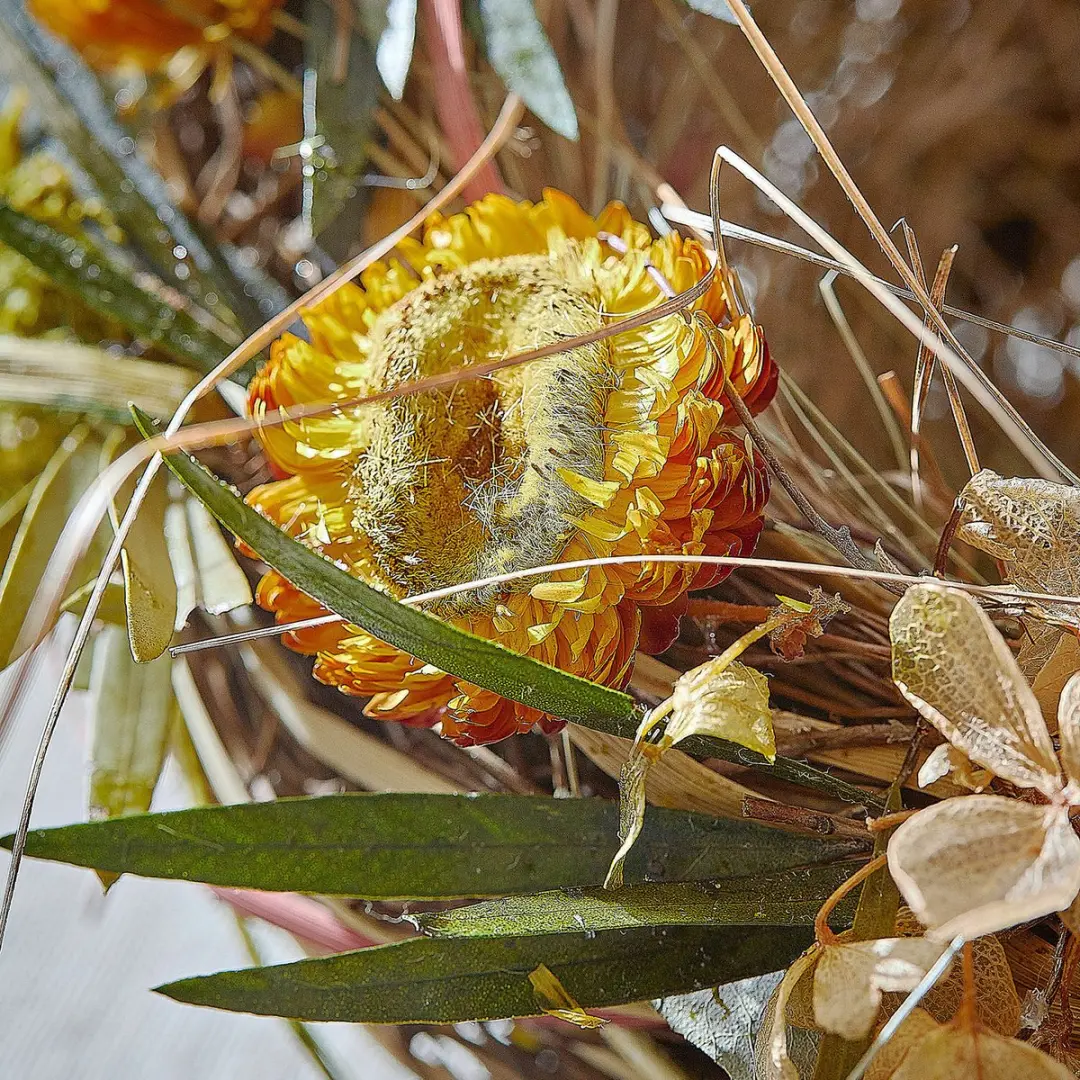 Loberon Nest Bravilex Bont