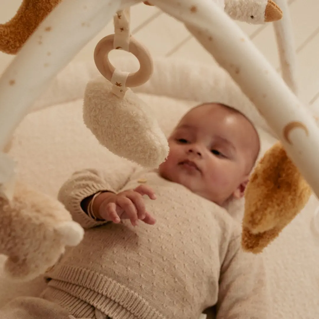 Little Dutch Newborn Naturals Activiteiten Speelkleed 85x85cm - afbeelding 4 van 6