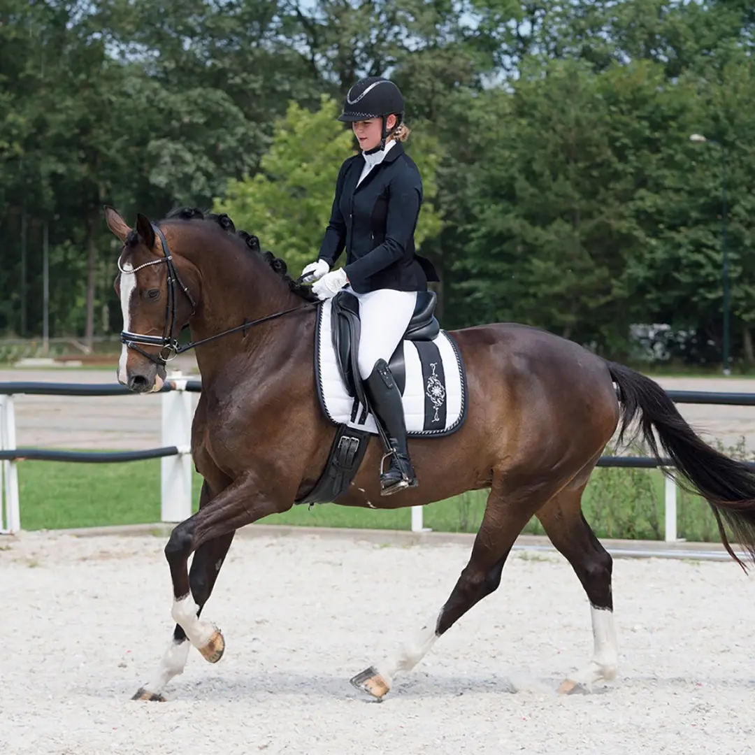 QHP Noven Wedstrijdjasje 44 - Zwart - afbeelding 4 van 6