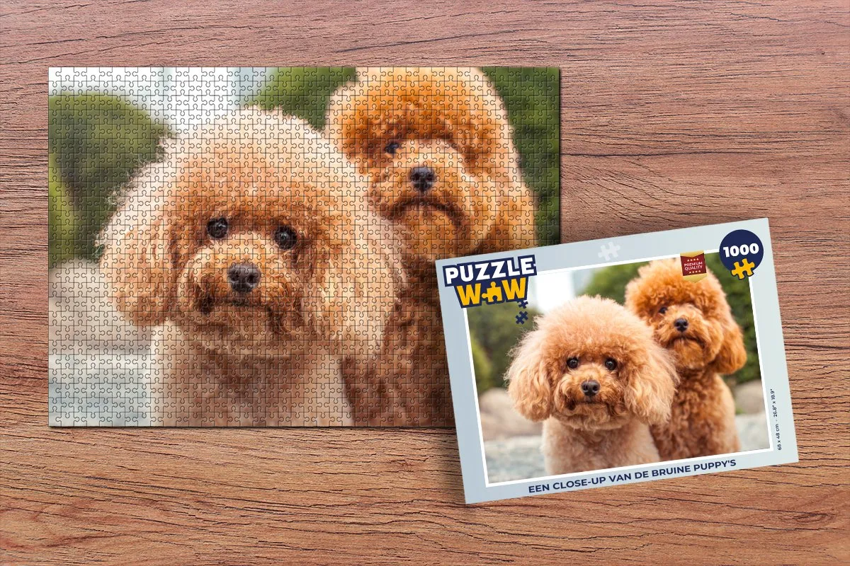 PuzzleWow Legpuzzel 1000 Stuks