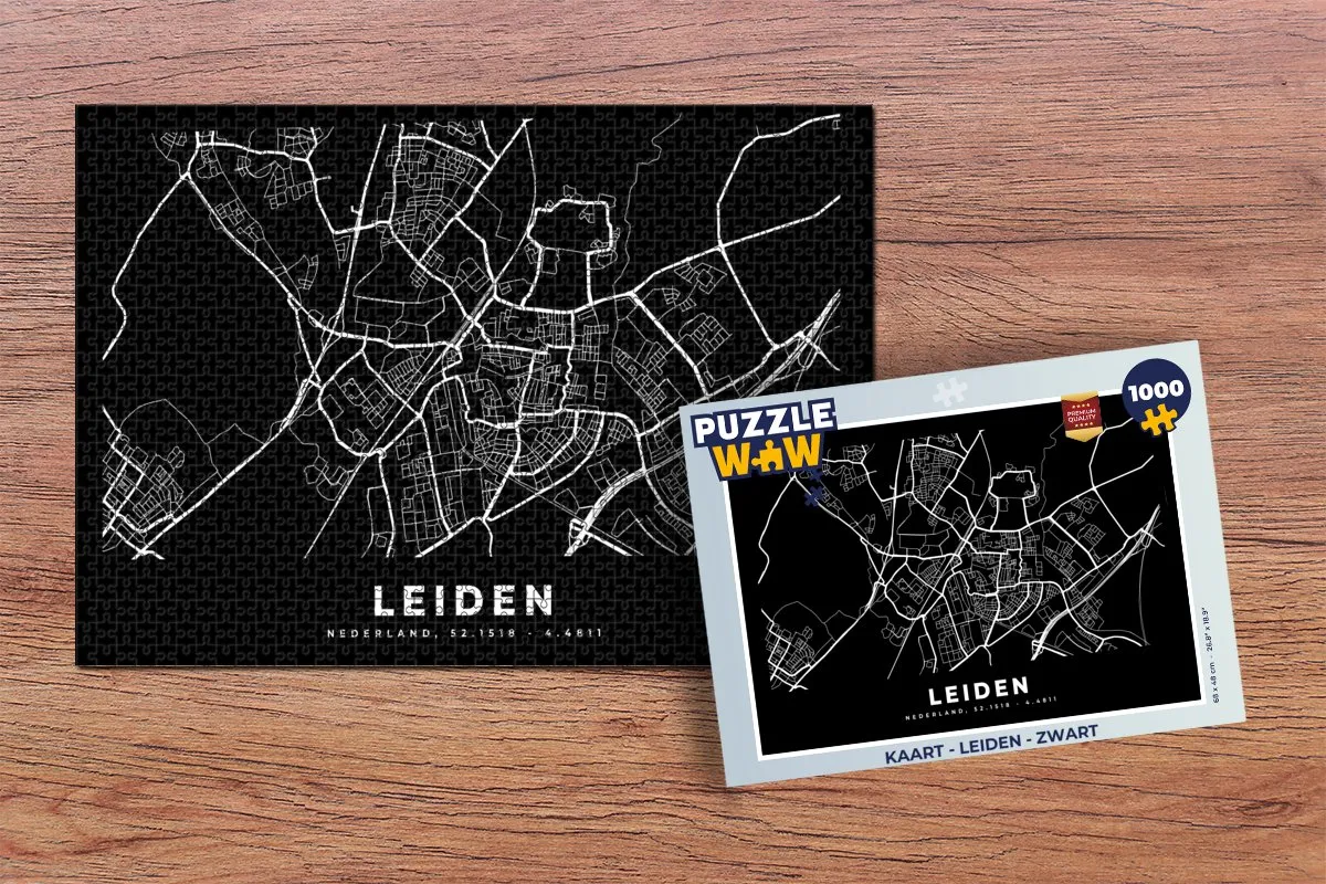 PuzzleWow Leiden Legpuzzel 1000 Stuks - Multicolor