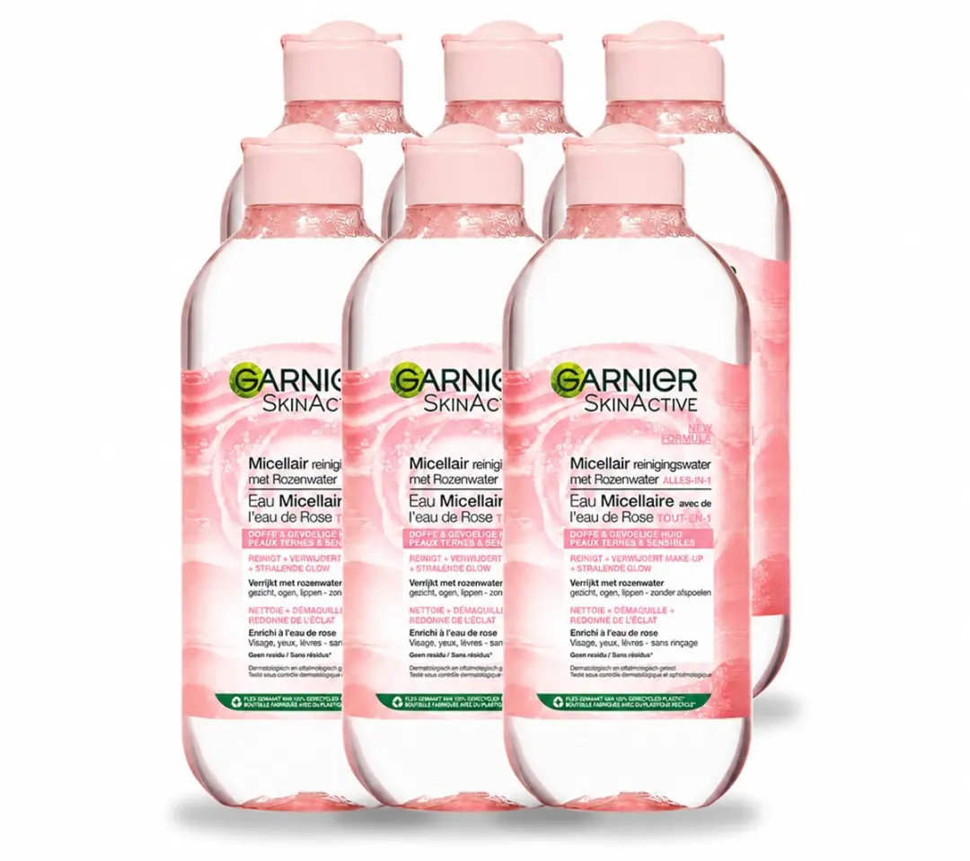 6 x Garnier