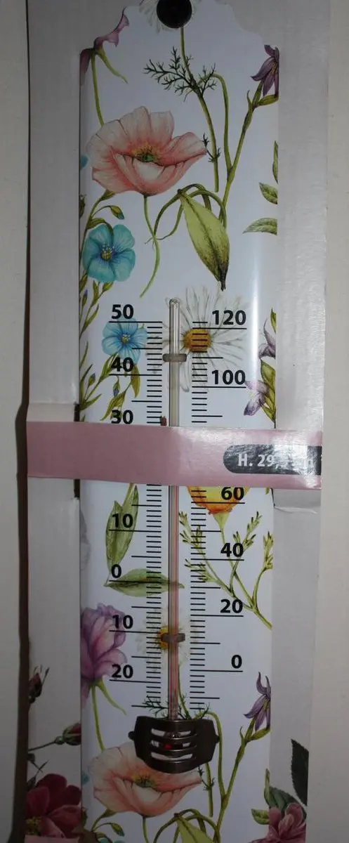 Koopman Thermometer Bloem - Meerkleurig