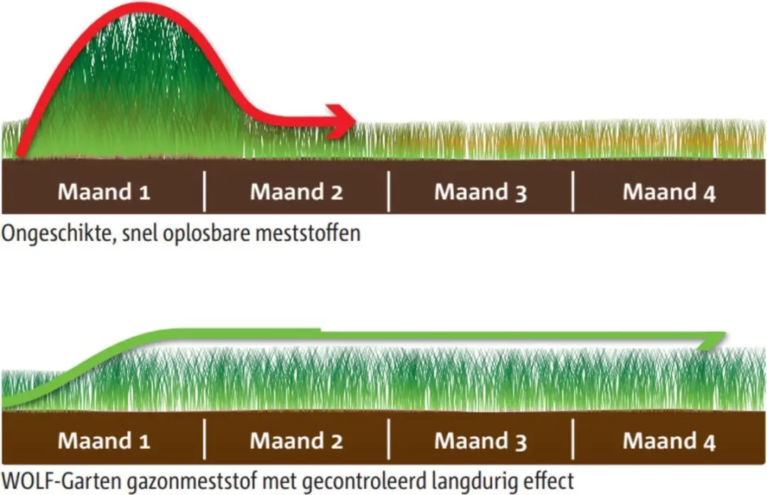 WOLF-Garten BIO Gazon & Tuinkalk 10kg - afbeelding 2 van 4