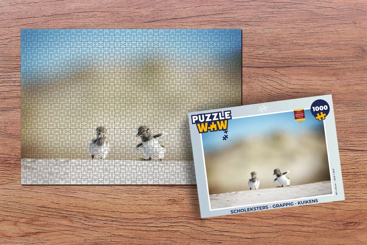 PuzzleWow Scholeksters Legpuzzel 1000 Stuks - Multicolor