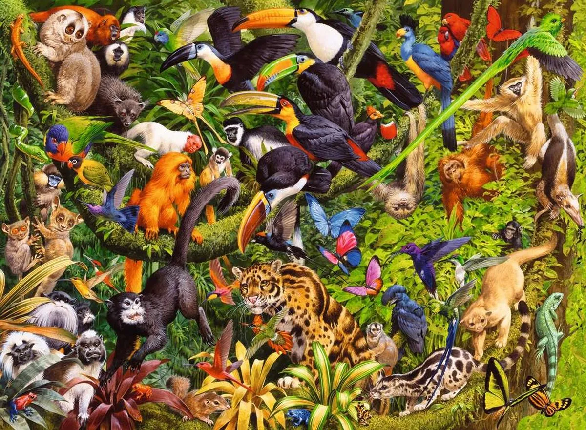 Ravensburger Bonte Jungle Legpuzzel 200 XXL Stukken - 13351
