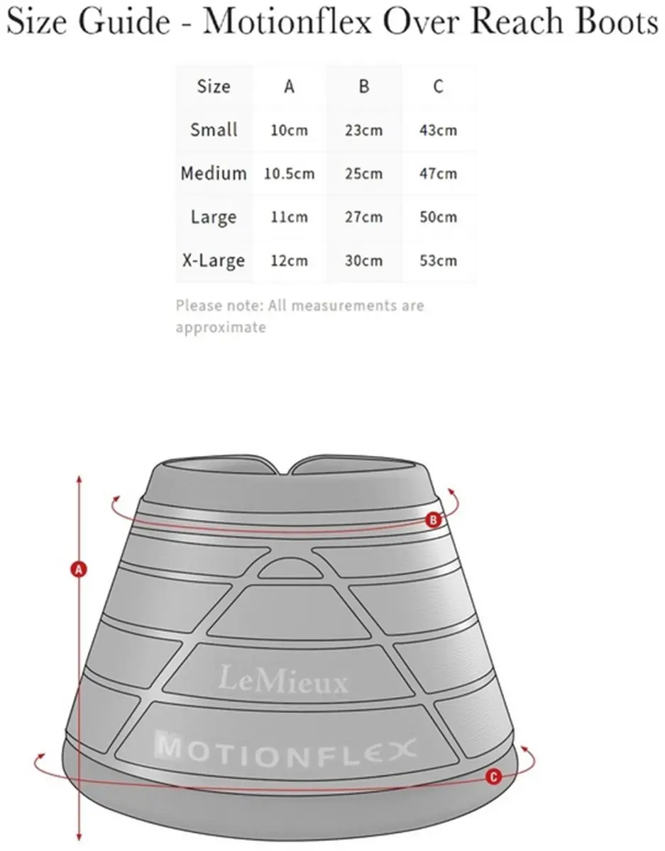 Lemieux Motionflex Springschoenen L - Wit - afbeelding 2 van 6