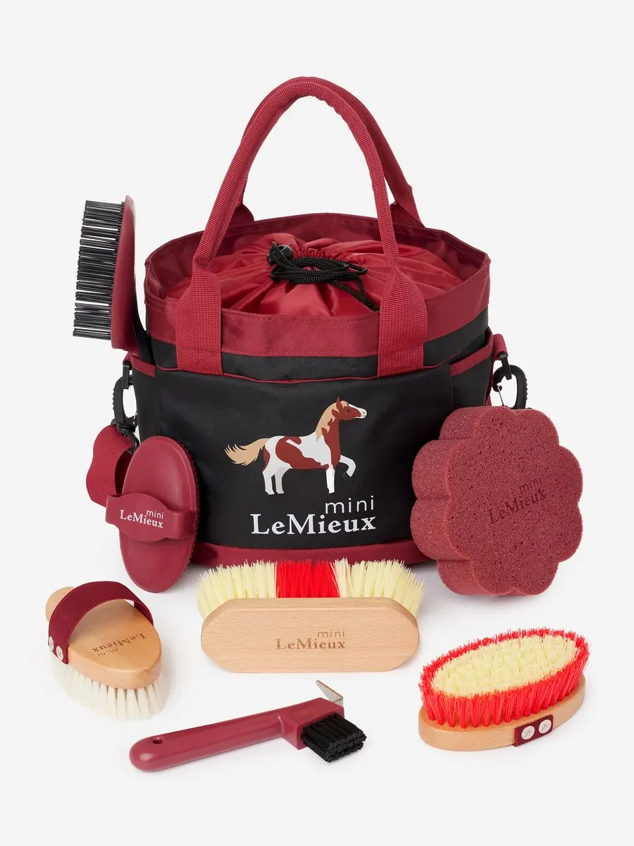 Lemieux Poetstas Mini Rood