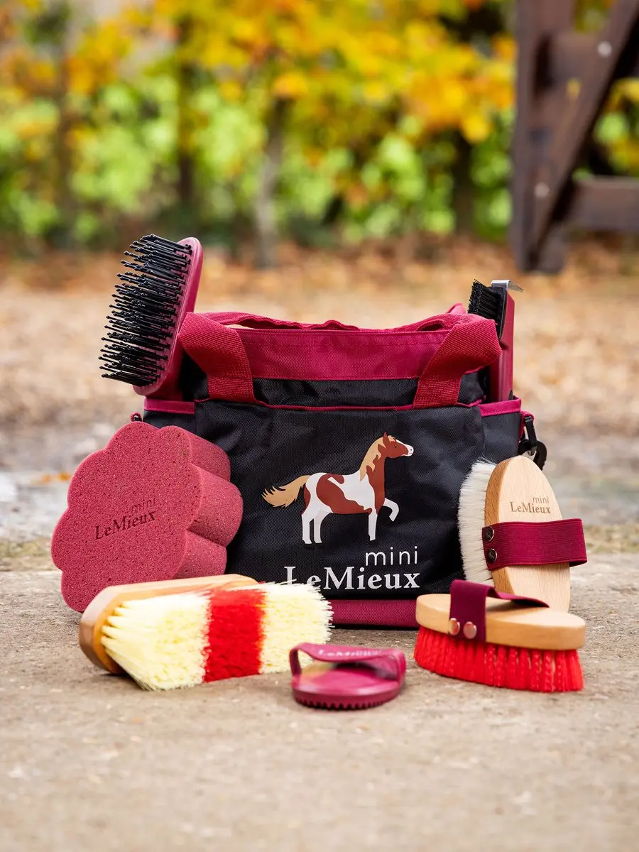 Lemieux Poetstas Mini Rood - met accessoires - afbeelding 3 van 4