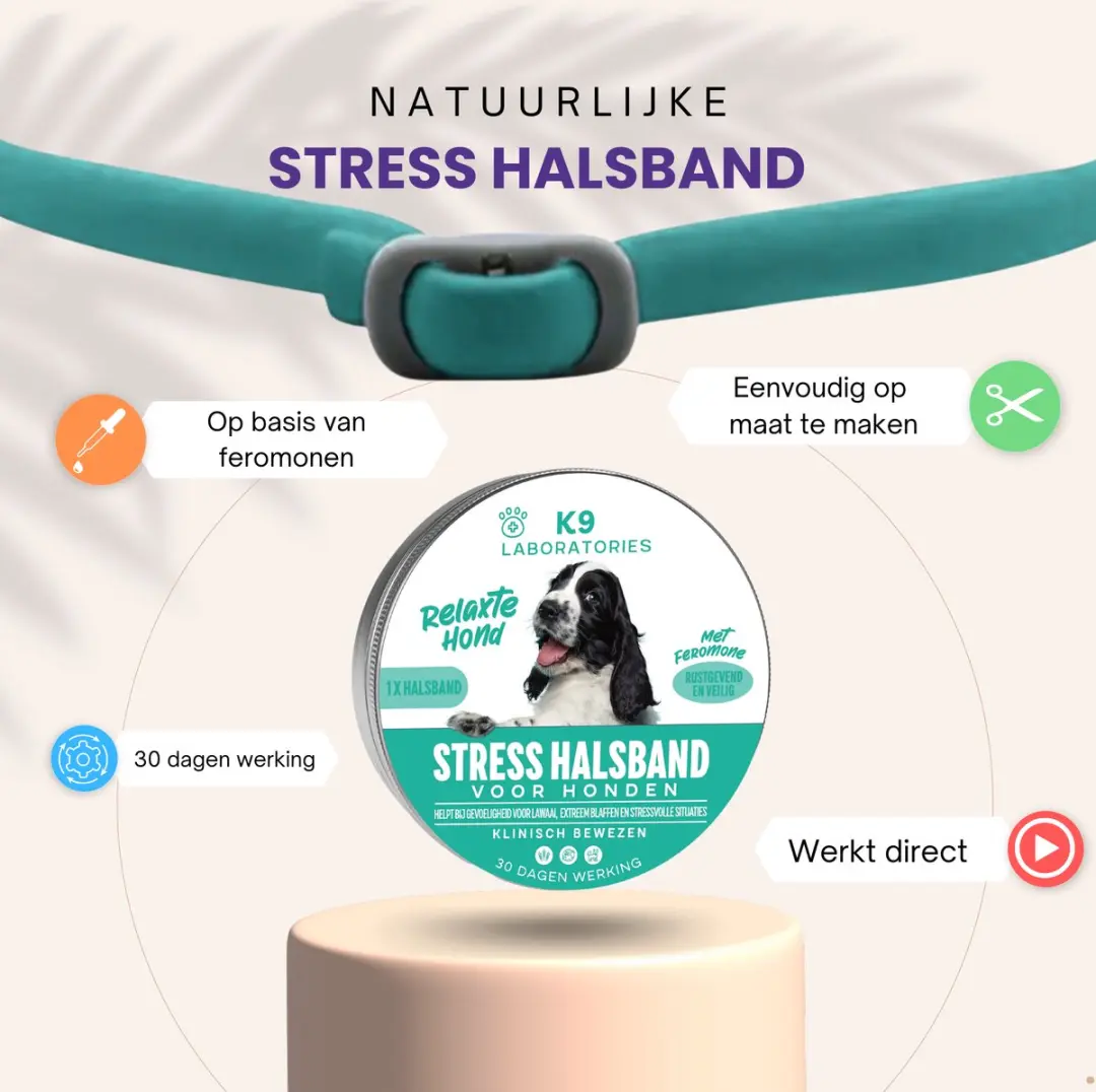 K9 Laboratories Antistress Halsband Honden - Turquoise - 5g - afbeelding 3 van 6