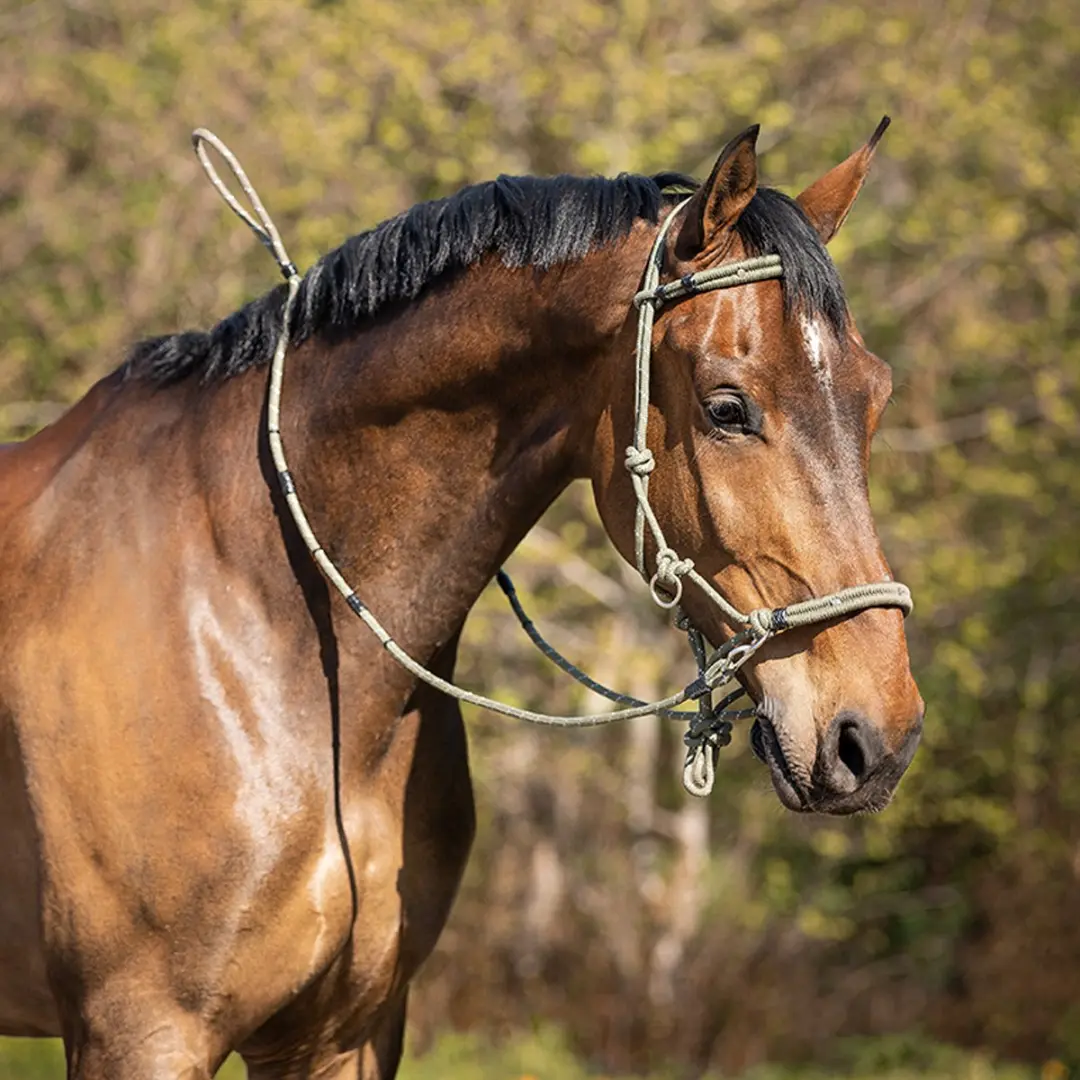 QHP Multi Touwhalsterset - Pony - Donkergroen - afbeelding 3 van 6