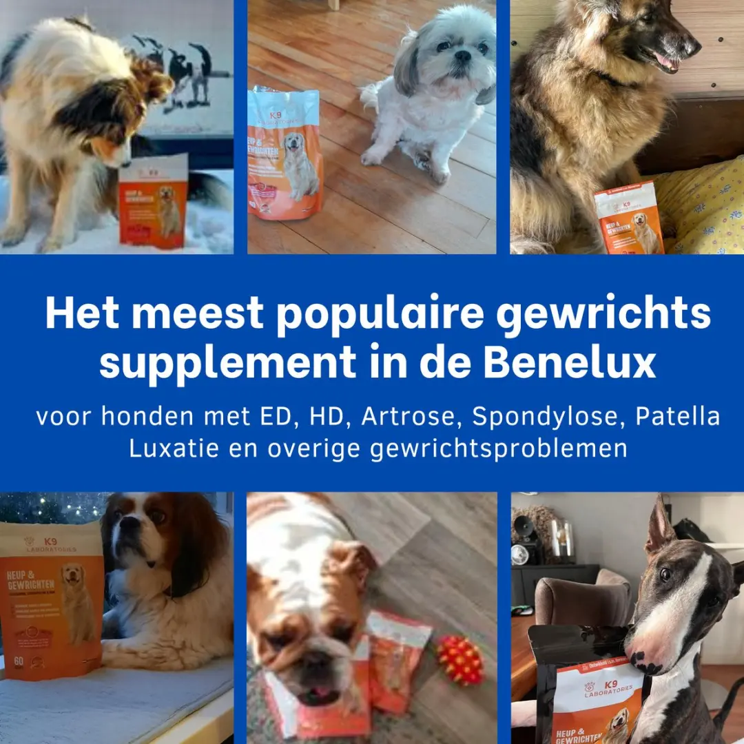 K9 Laboratories Heup & Gewricht Hondensupplement 60 Stuks - afbeelding 5 van 6