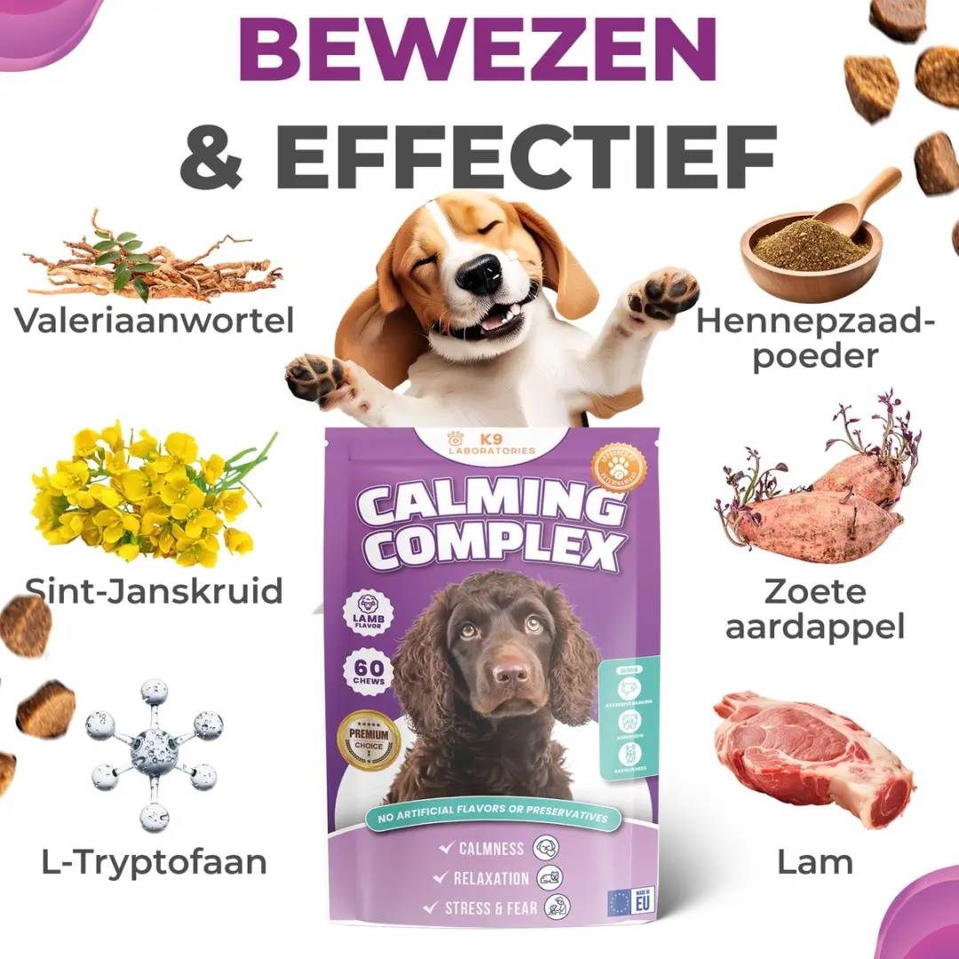 K9 Laboratories Kalmte & Balans Honden Supplement 60 Stuks - afbeelding 3 van 6