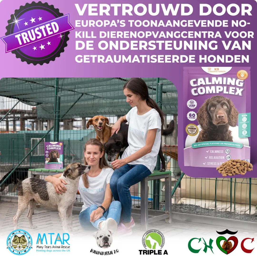 K9 Laboratories Kalmte & Balans Honden Supplement 60 Stuks - afbeelding 4 van 6