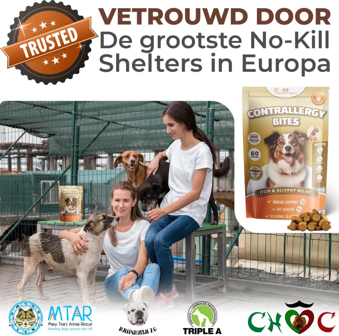K9 Laboratories Contrallergy Hotspot Hondensnoepjes 60 Stuks - afbeelding 4 van 6