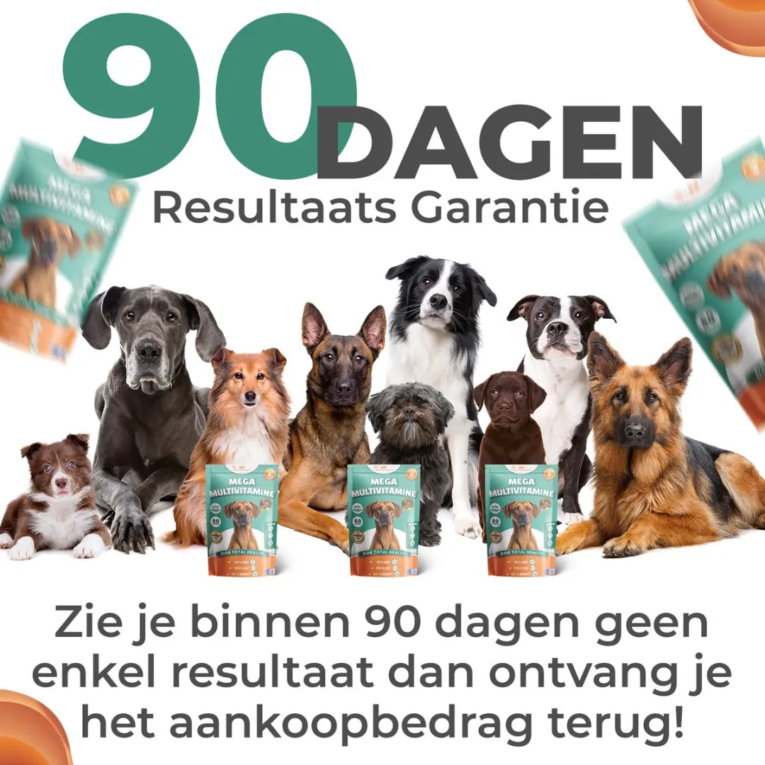 K9 Laboratories Multivitamine Hondensnoepjes 60 Stuks - 10-in-1 - afbeelding 3 van 6