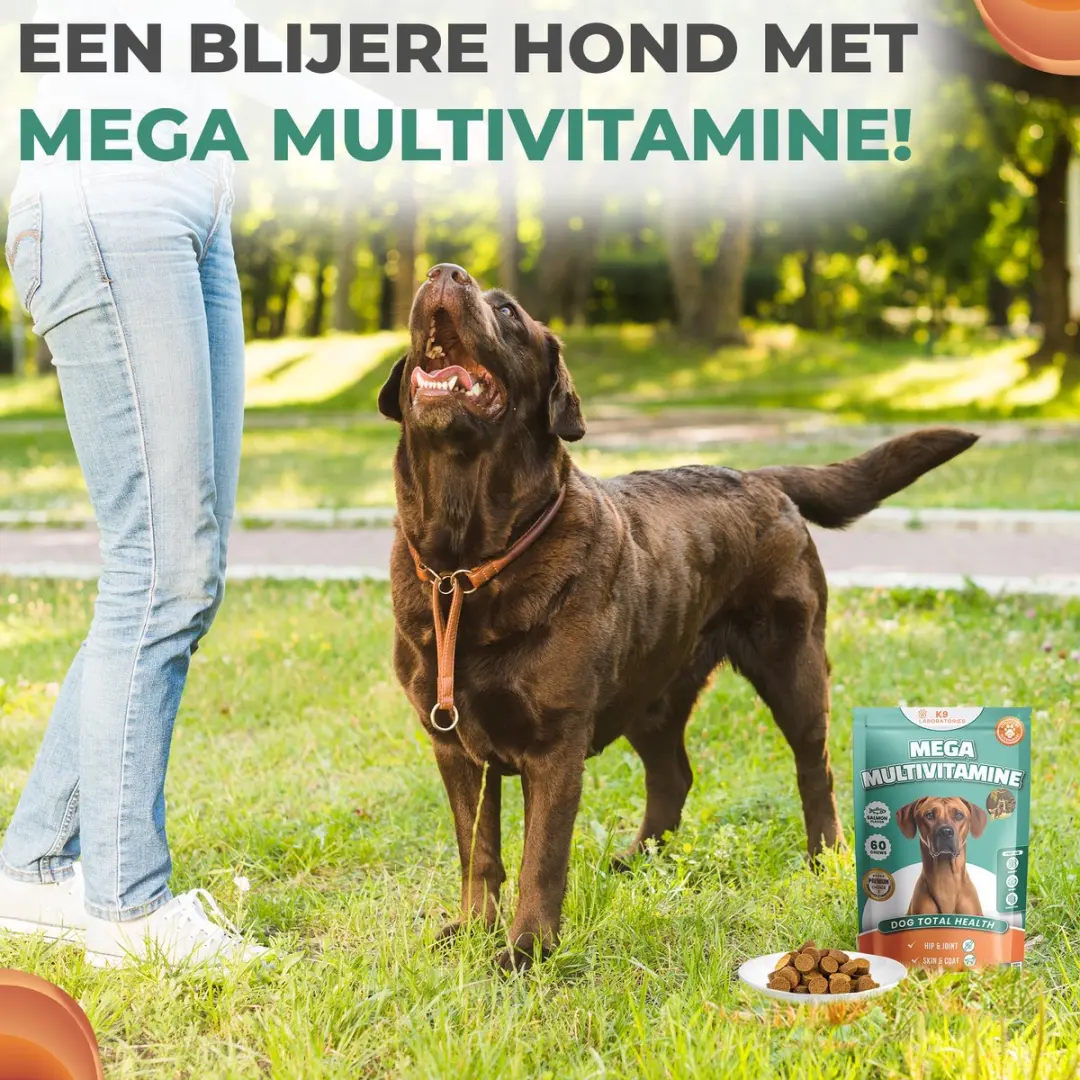 K9 Laboratories Multivitamine Hondensnoepjes 60 Stuks - 10-in-1 - afbeelding 6 van 6