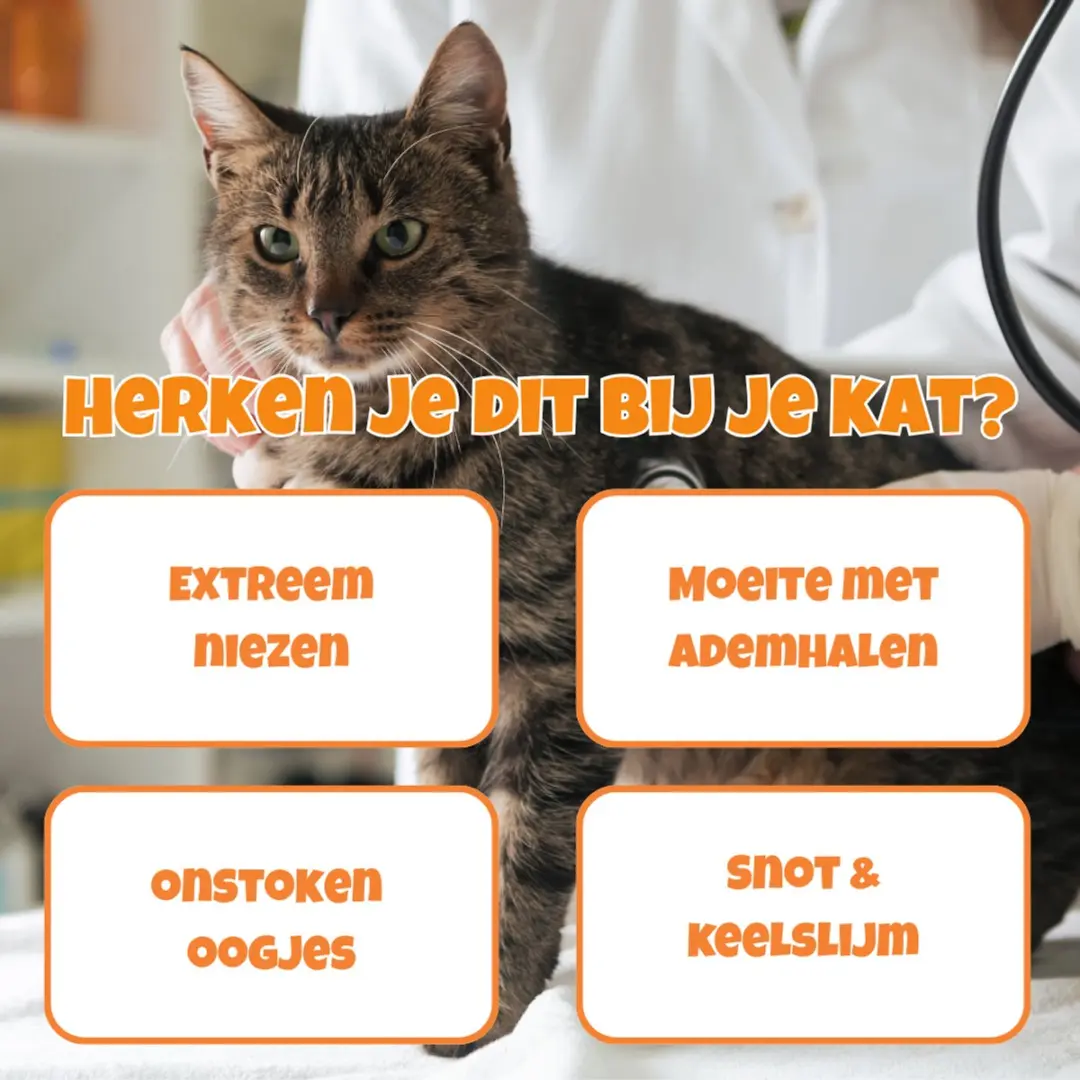K9 Laboratories Sneeze X Katten Snoepjes - 30 Stuks - afbeelding 2 van 6