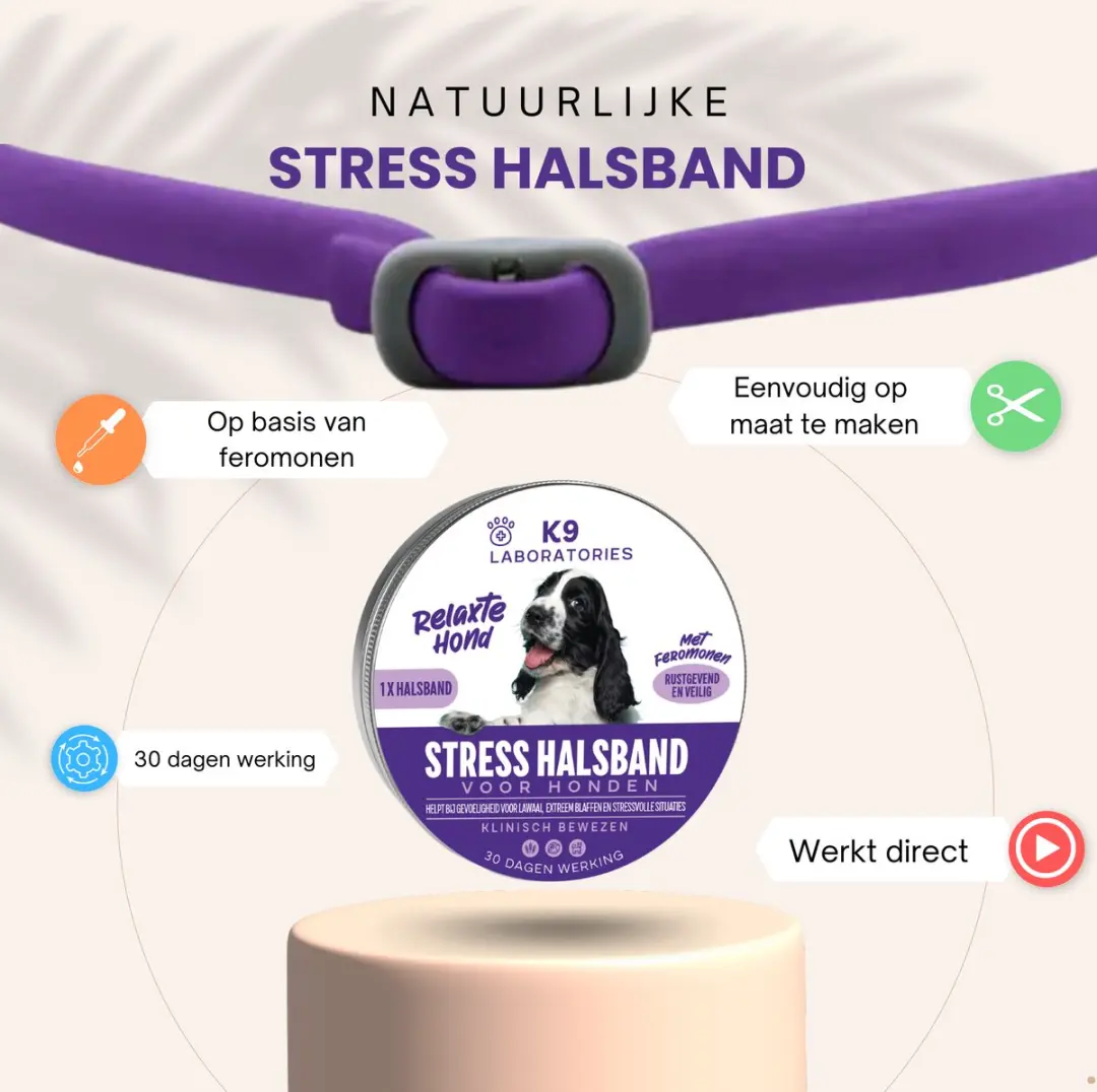 K9 Laboratories Anti Stress Halsband Hond - Feromonen - Paars - afbeelding 3 van 6