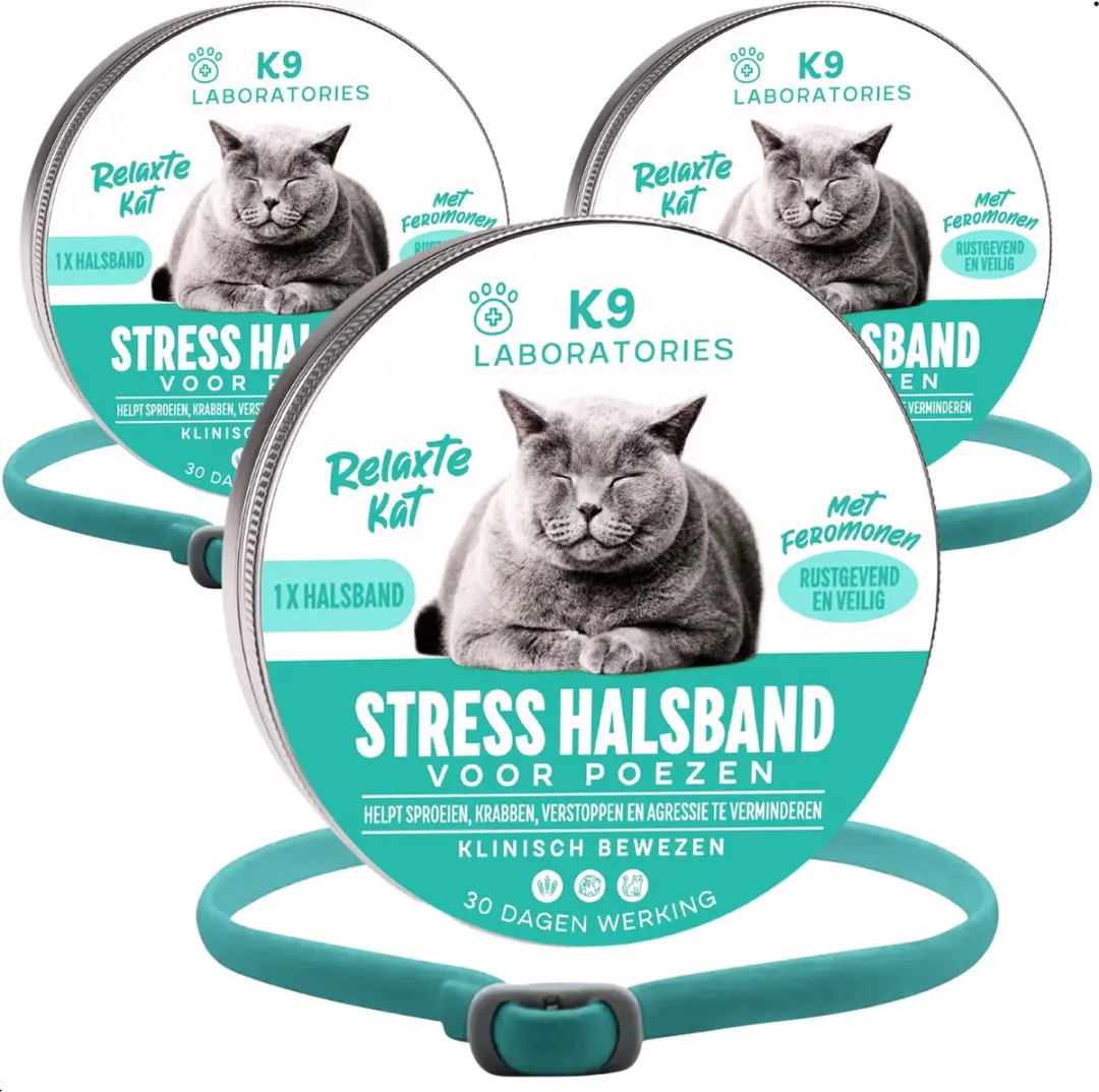 Antistress halsband kat Turquoise